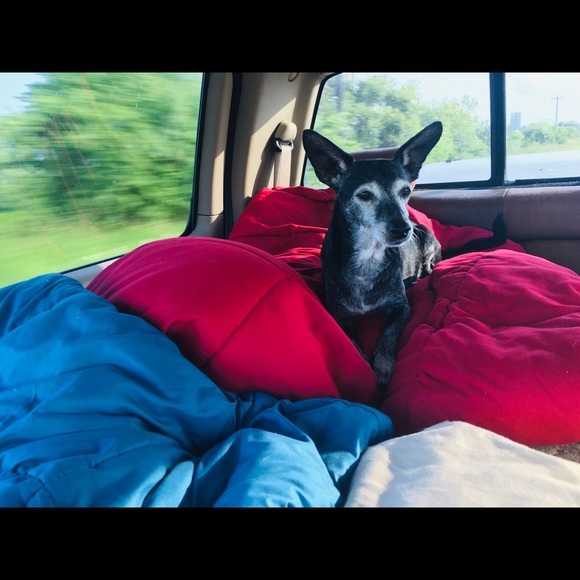 Meet your Posher, Jennifer - Picture 1 of 1